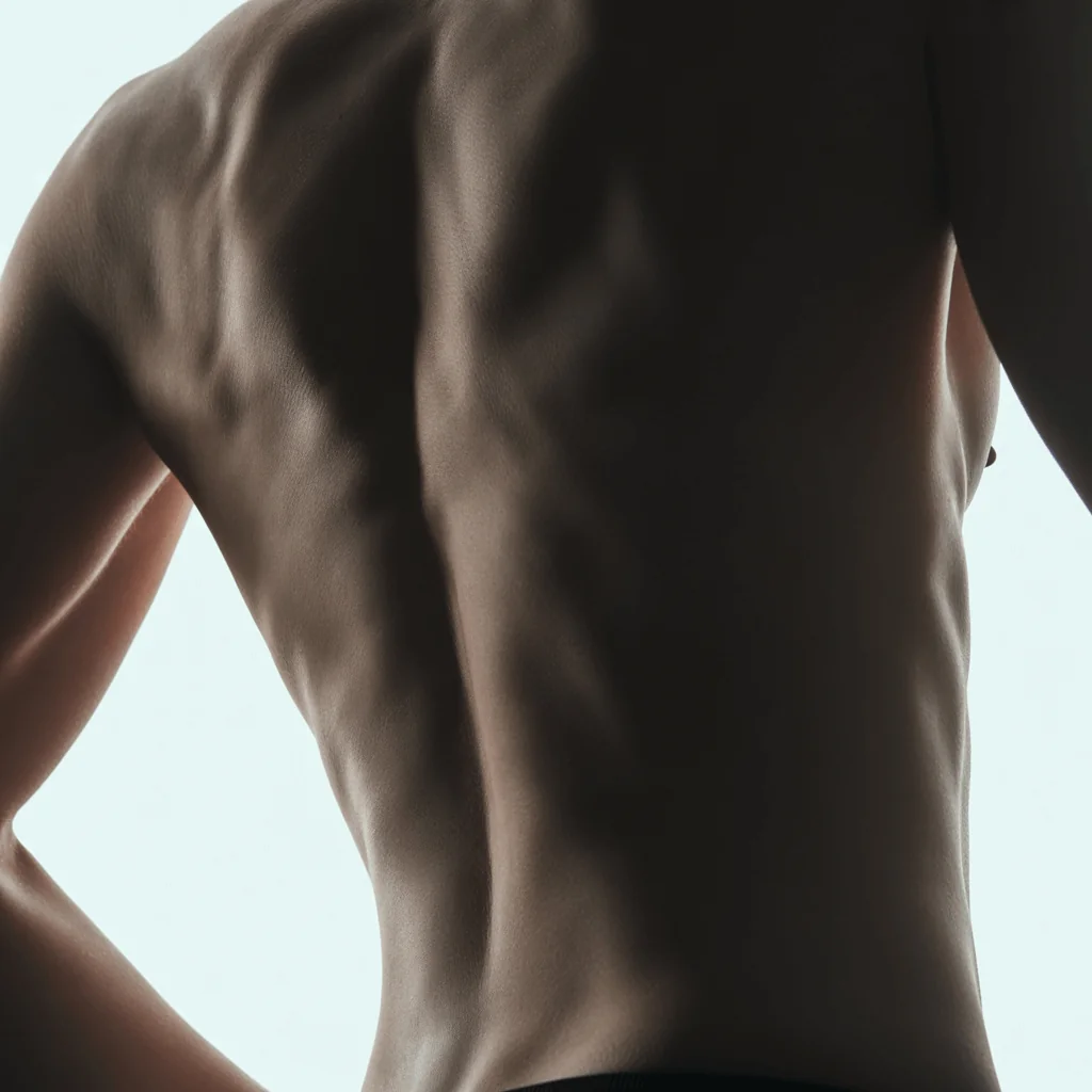 Close-up of a toned back, symbolizing kidney health biomarkers for longevity and blood testing.